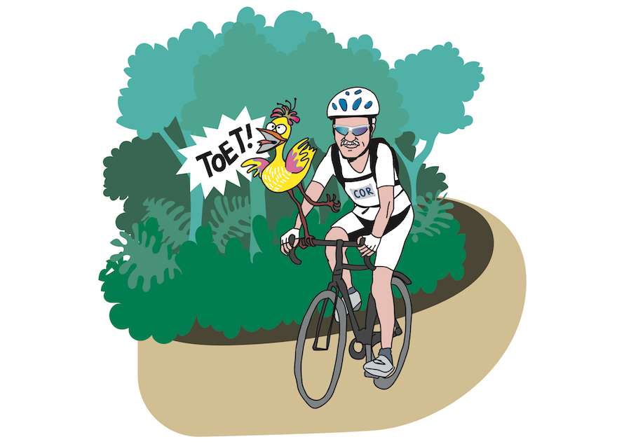 Cartoon Cor Snoeij